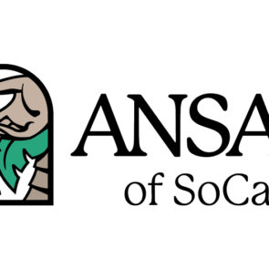 ANSAR logo