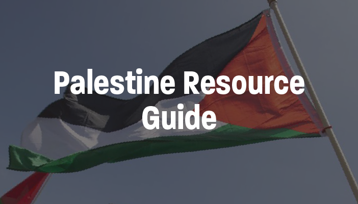 Essentials Women's Full Coverage Palestine