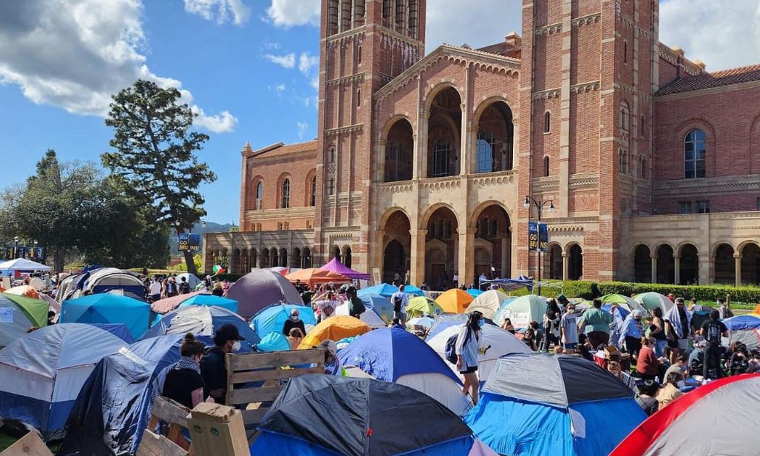 CAIR-LA Demands UCLA Hate Crime Probe of Anti-Genocide Counter-Protesters, Demands University Protect Students at Solidarity Camp